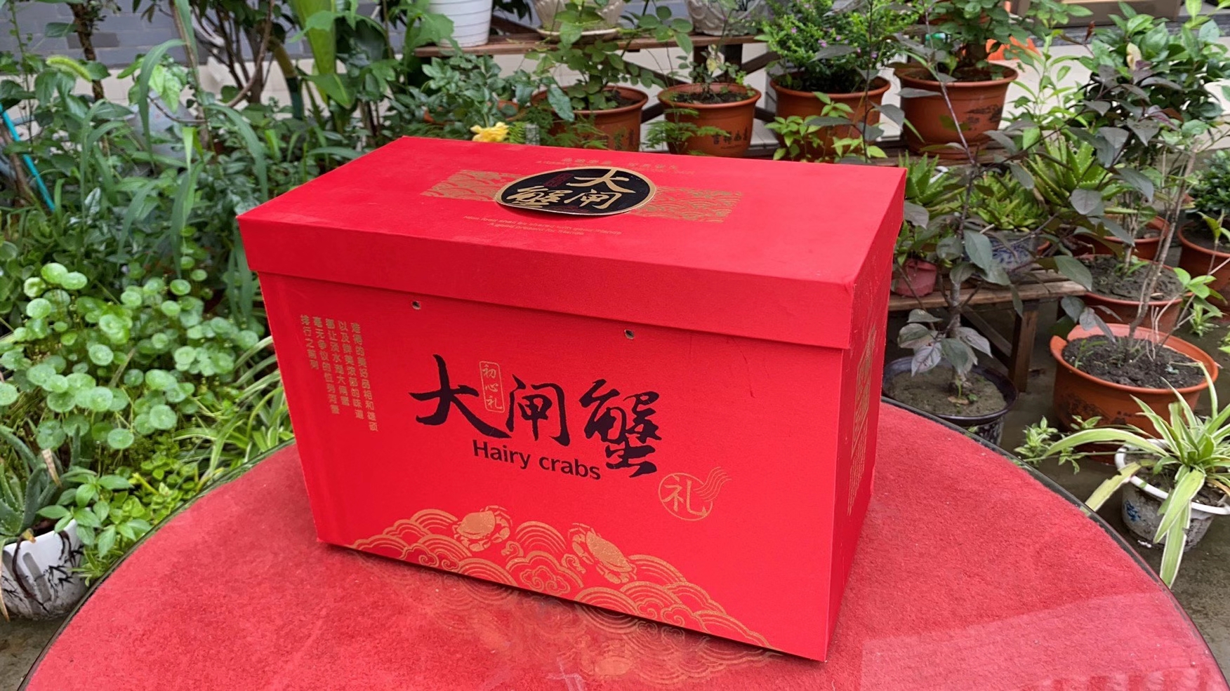 2588至尊10只（4.0/5.0）